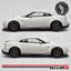 Picture of GTR side Stripes