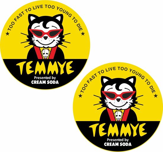 Picture of Temmye Decals / Stickers