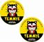 Picture of Temmye Decals / Stickers