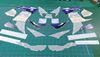 Picture of Honda CBR 900RR Fireblade SC33 1996  - 1997 replacement Decals / Stickers