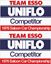 Picture of ESSO Team Saloon Car Championship Decals / Stickers