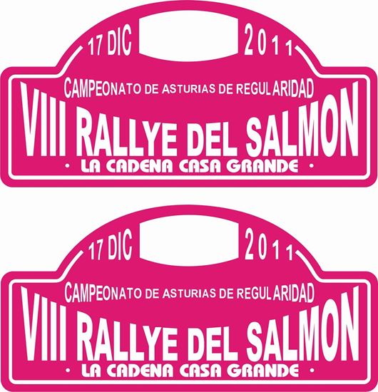 Picture of VIII Rallye Del Salmon Decals / Stickers