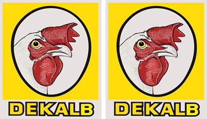 Picture of Dekalb Decals / Stickers