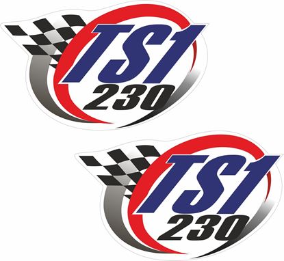 Picture of TS1 230 Decals / Stickers