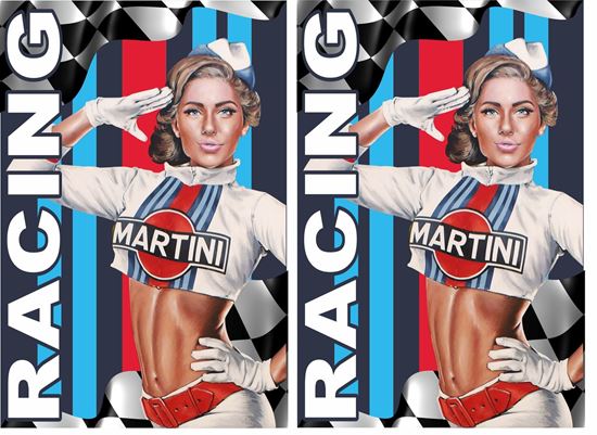 Picture of Martini Racing Decals / Stickers