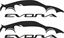 Picture of Lotus Evora Decals / Stickers