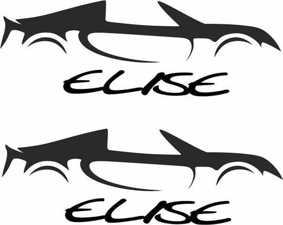 Picture of Lotus Elise Decals / Stickers