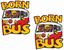 Picture of Born in a Bus Decals / Stickers