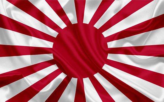 Picture of Jap Rising Sun Flag Wrap Sheet