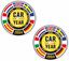 Picture of Fiat 500 Car of the year 2004 Stickers / Decals