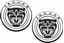 Picture of Jaguar Decals / Stickers