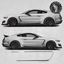 Picture of Ford Mustang 2015 on side Stripes / Stickers