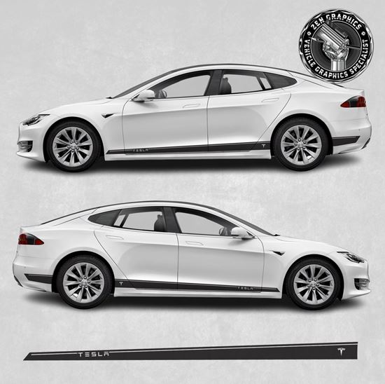Picture of Model S side Stripes