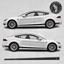 Picture of Model S side Stripes