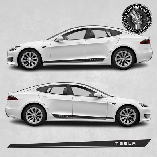 Picture of Model S side Stripes