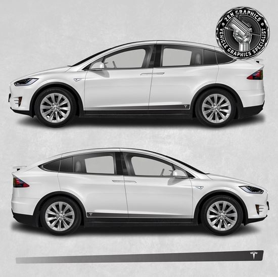 Picture of Model X side Stripes