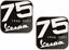 Picture of Vespa 75 Years 1946 - 2021 50mm tall Badges
