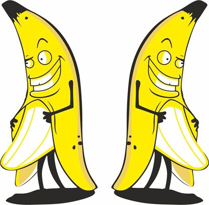 Picture of Banana Man Decals / Stickers