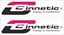 Picture of Cinnetic Decals / Stickers