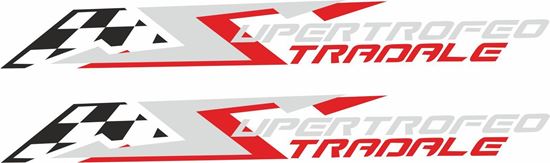Picture of lamborghini gallardo super trofeo  Decals / Stickers