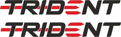 Picture of Triumph Trident Decals / Stickers
