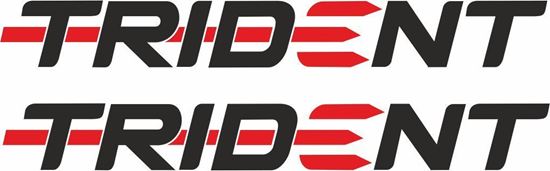Picture of Triumph Trident Decals / Stickers