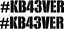 Picture of Ken Block 4 Ever Decals / Stickers
