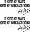 Picture of Ken Block Decals / Stickers