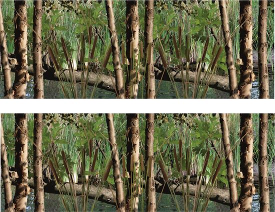 Picture of Wet Land 2 Camo Decals / Stickers