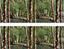 Picture of Wet Land 2 Camo Decals / Stickers