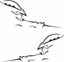 Picture of Peugeot / Citroen musketier Decals / Stickers