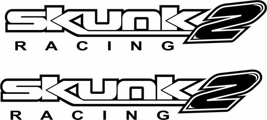 Picture of Skunk Racing 2 Decals / Stickers