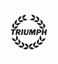 Picture of Triumph TR7 / TR8 60mm replacement Decal / Sticker