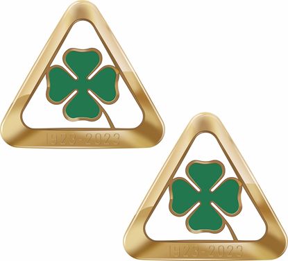 Picture of 100 year / Century Anniversary Decals / Stickers