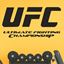 Picture of UFC Wall Art sticker