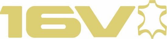 Picture of Vauxhall Astra GTE 16v Champion replacement front Decal / Sticker