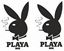 Picture of Playa Decals / Stickers
