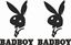 Picture of Badboy Decals / Stickers