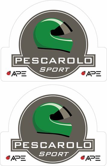 Picture of Pescarolo Sport Racing Le Mans Decals / Stickers