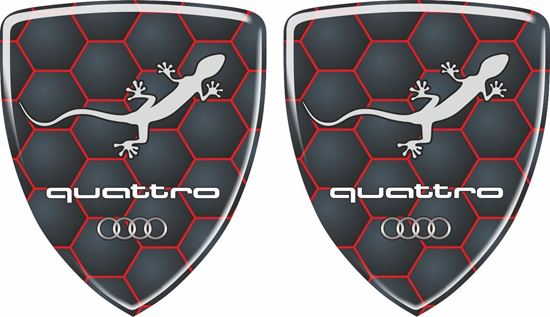 Picture of Audi Quattro Decals / Stickers