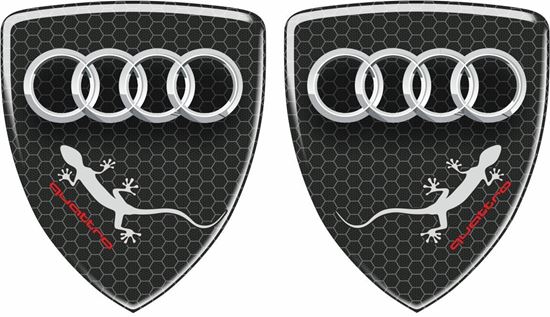Picture of Audi Quattro Decals / Stickers