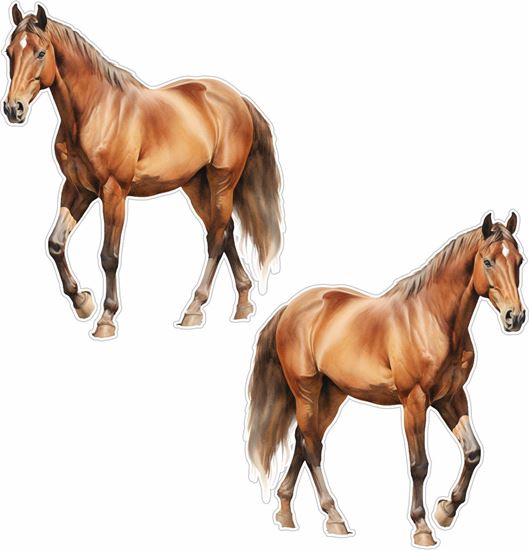Picture of Horse Decals / Stickers