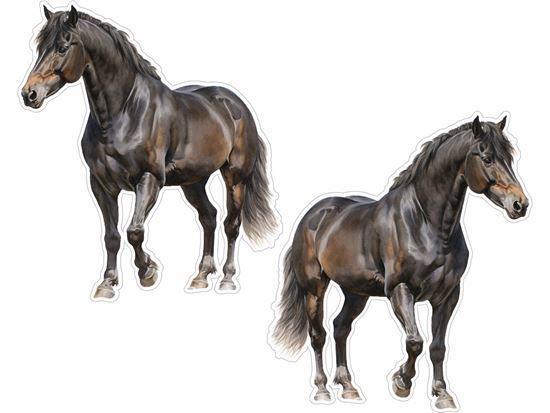 Picture of Horse Decals / Stickers