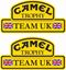 Picture of Land Rover Camel Trophy Team UK Decals / Stickers