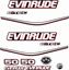 Picture of Evinrude 50HP E-tec Black Cowling outboard engine Decals  / Stickers