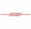 Picture of Ford Escort Backflash Screen Sticker / Decal