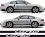 Picture of 996 Turbo side Stripes / Stickers