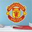 Picture of Manchester United Football Club Wall Art sticker