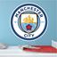 Picture of Manchester City Football Club Wall Art sticker