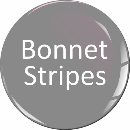 Picture for category Mini F56 3 Door / F55 5 Door / F57 Cabriolet Bonnet Stripes